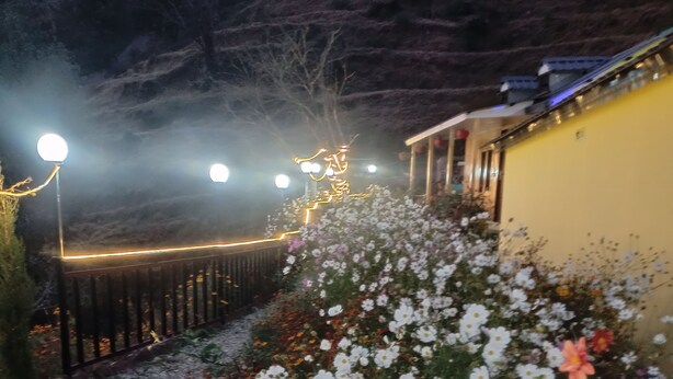 Un sentiero fiancheggiato da fiori bianchi e rosa che conduce a un edificio con facciata gialla.