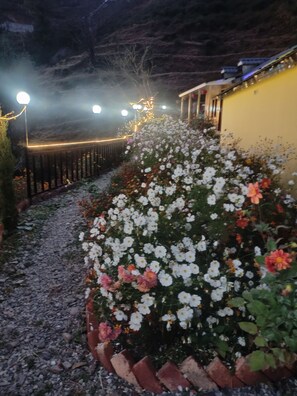 Un sendero bordeado de flores blancas y rosadas que conduce a un edificio de fachada amarilla.