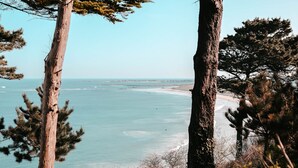 海滩