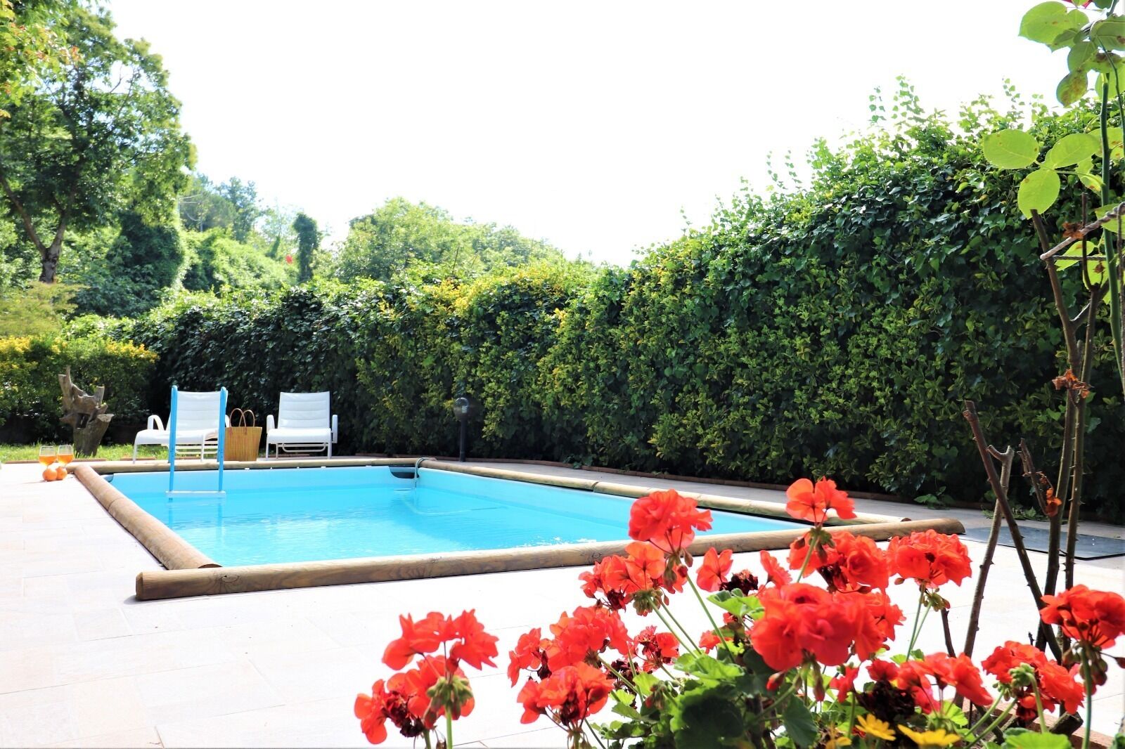 Une piscine rectangulaire avec une plage carrelée, entourée d’une végétation luxuriante et d’une haie.