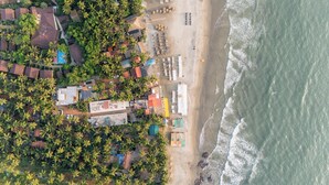 Luftaufnahme einer Küstenregion mit Gebäuden, einem Strand und Palmen.
