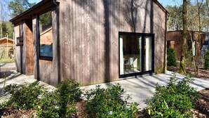 A modern wooden cabin with a large glass door and windows, surrounded by greenery. - Zutendaal Forest Retreat (Zutendaal)