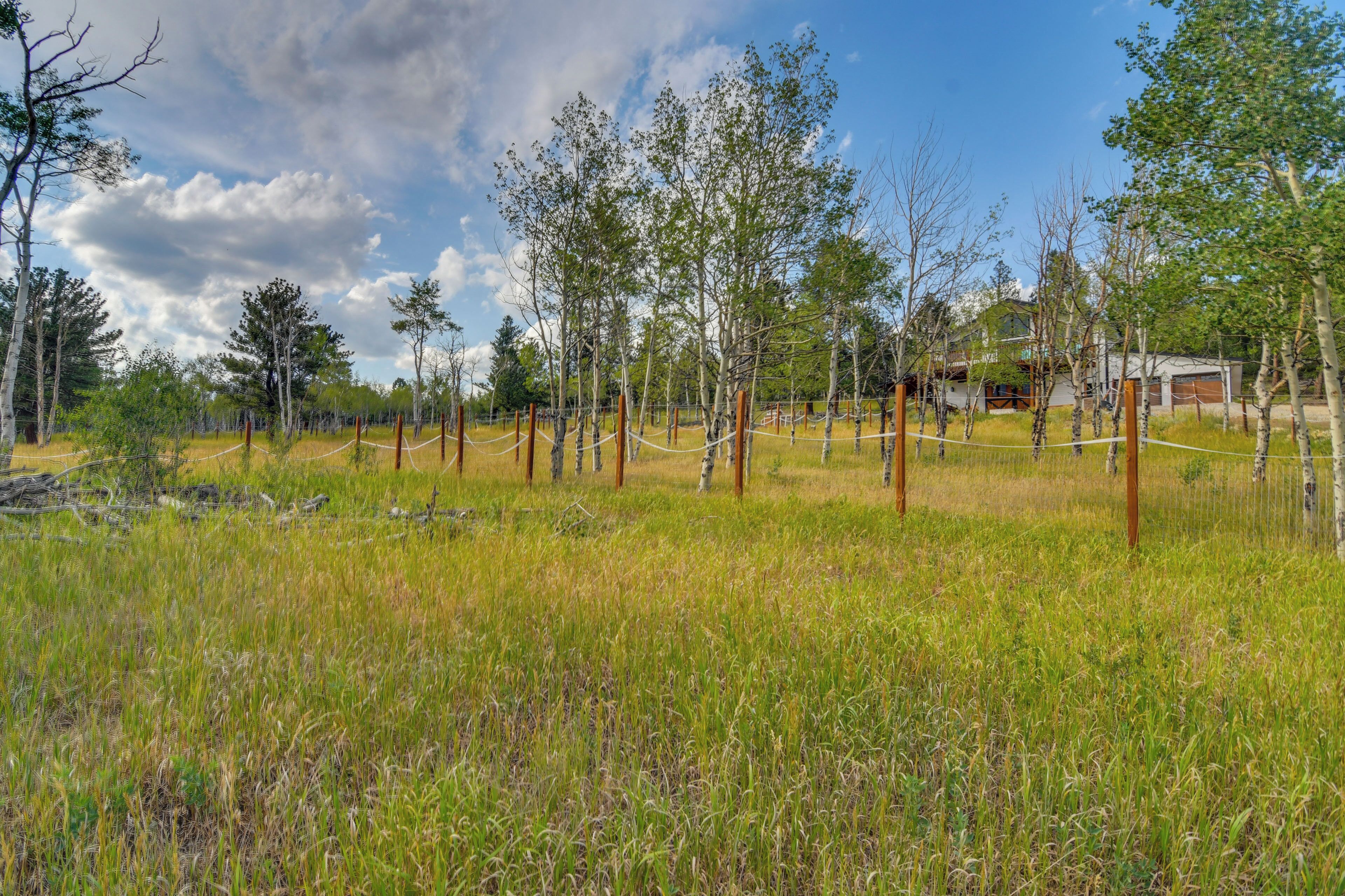 Un paysage rural avec des arbres, une clôture et un bâtiment en arrière-plan.