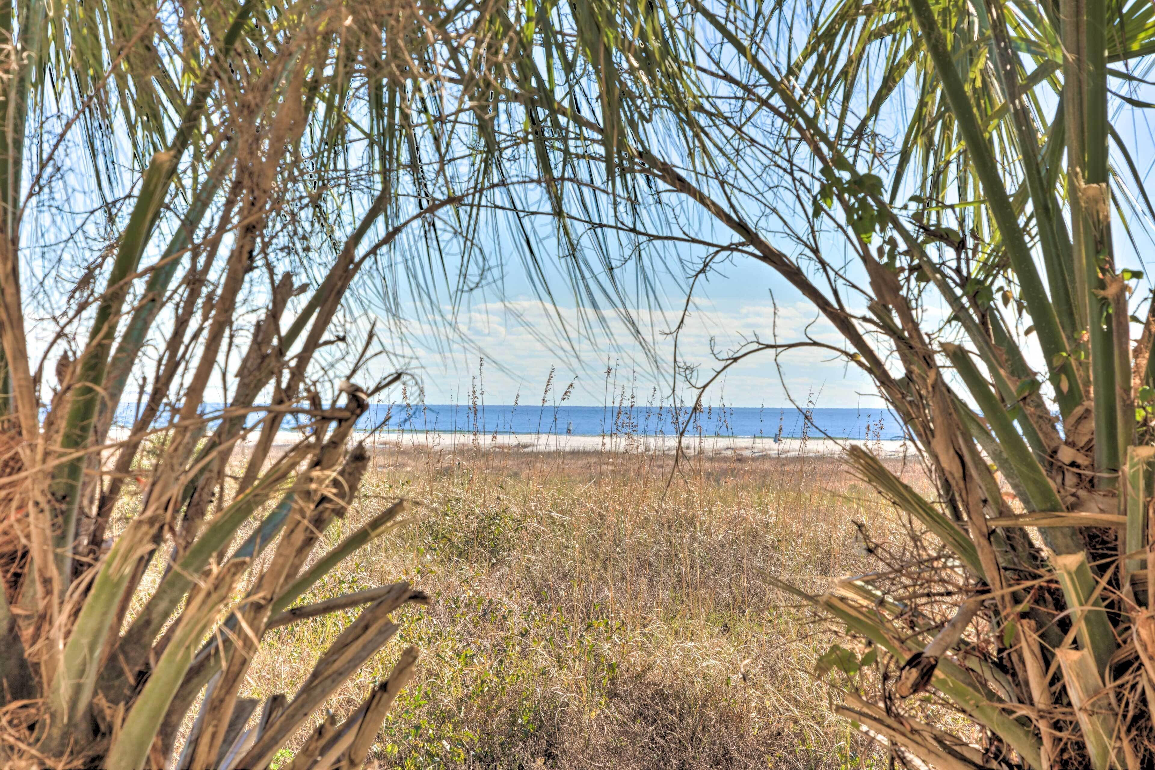 Vista de una playa enmarcada por palmeras.