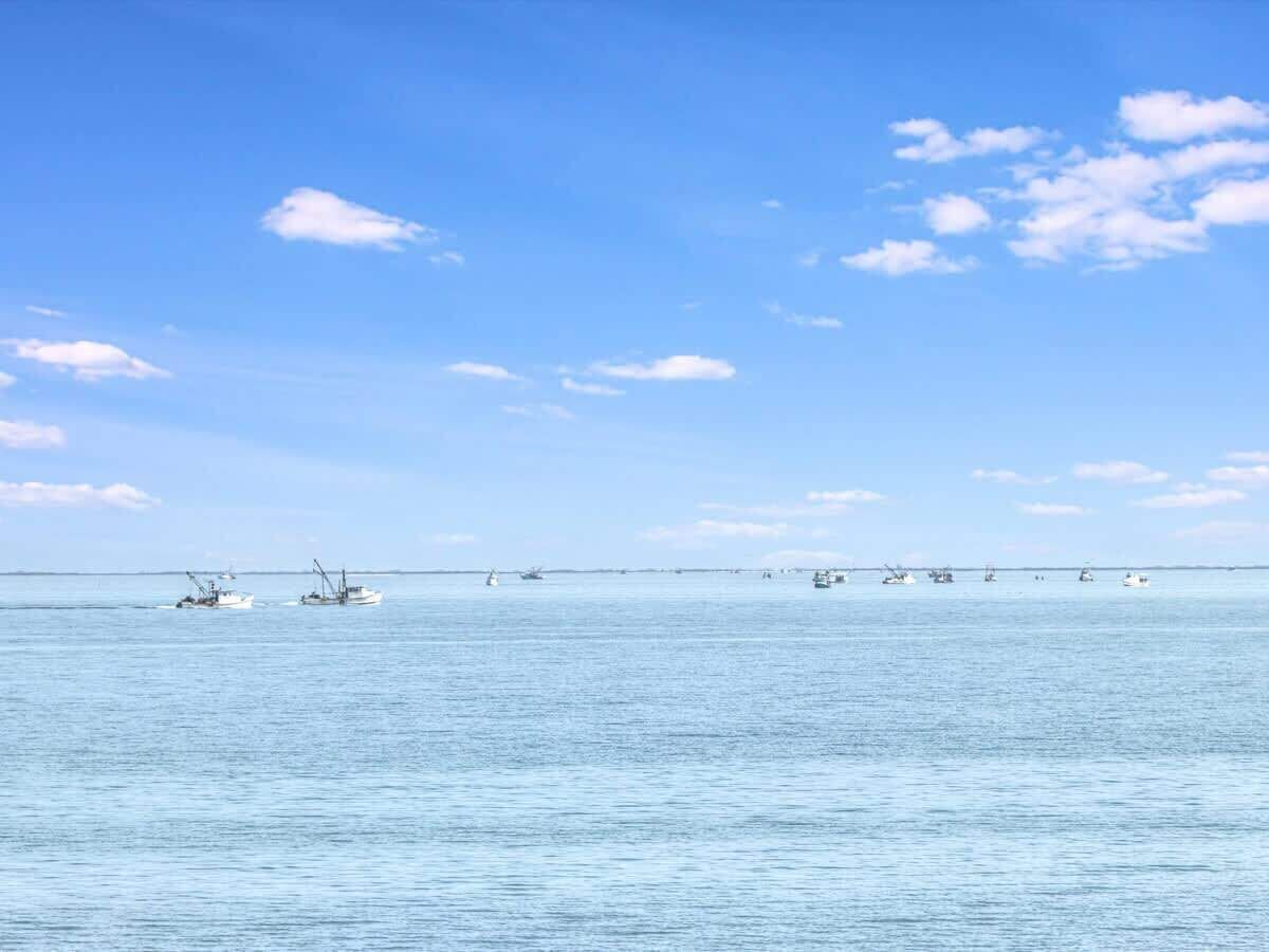 Une mer calme avec plusieurs bateaux, un ciel dégagé et un horizon lointain.
