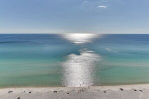Condo, 1 Bedroom | Beach | On the beach - Shores Of Panama 1602 1 Bedroom Condo (Panama City Beach)