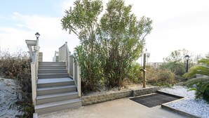 A concrete staircase leading to a building with a metal railing, surrounded by greenery and a small drainage grate.
