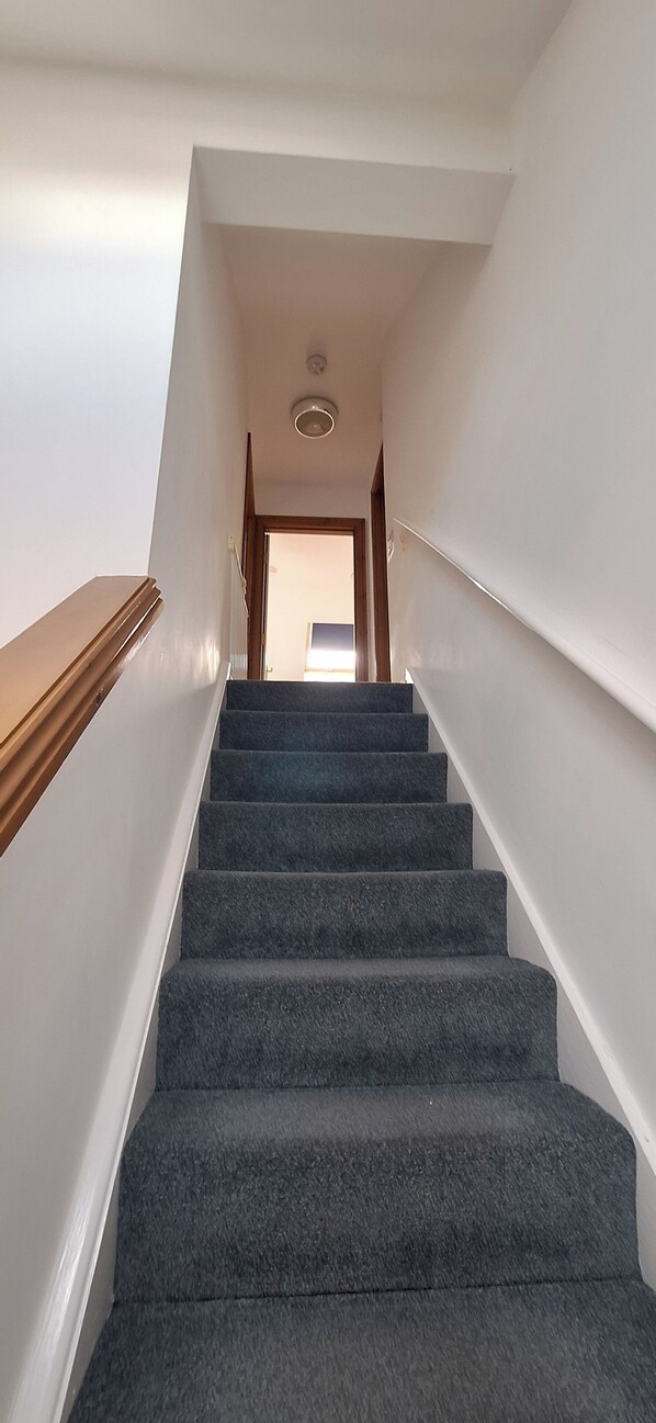 A staircase with carpeted steps leading to an upper floor.