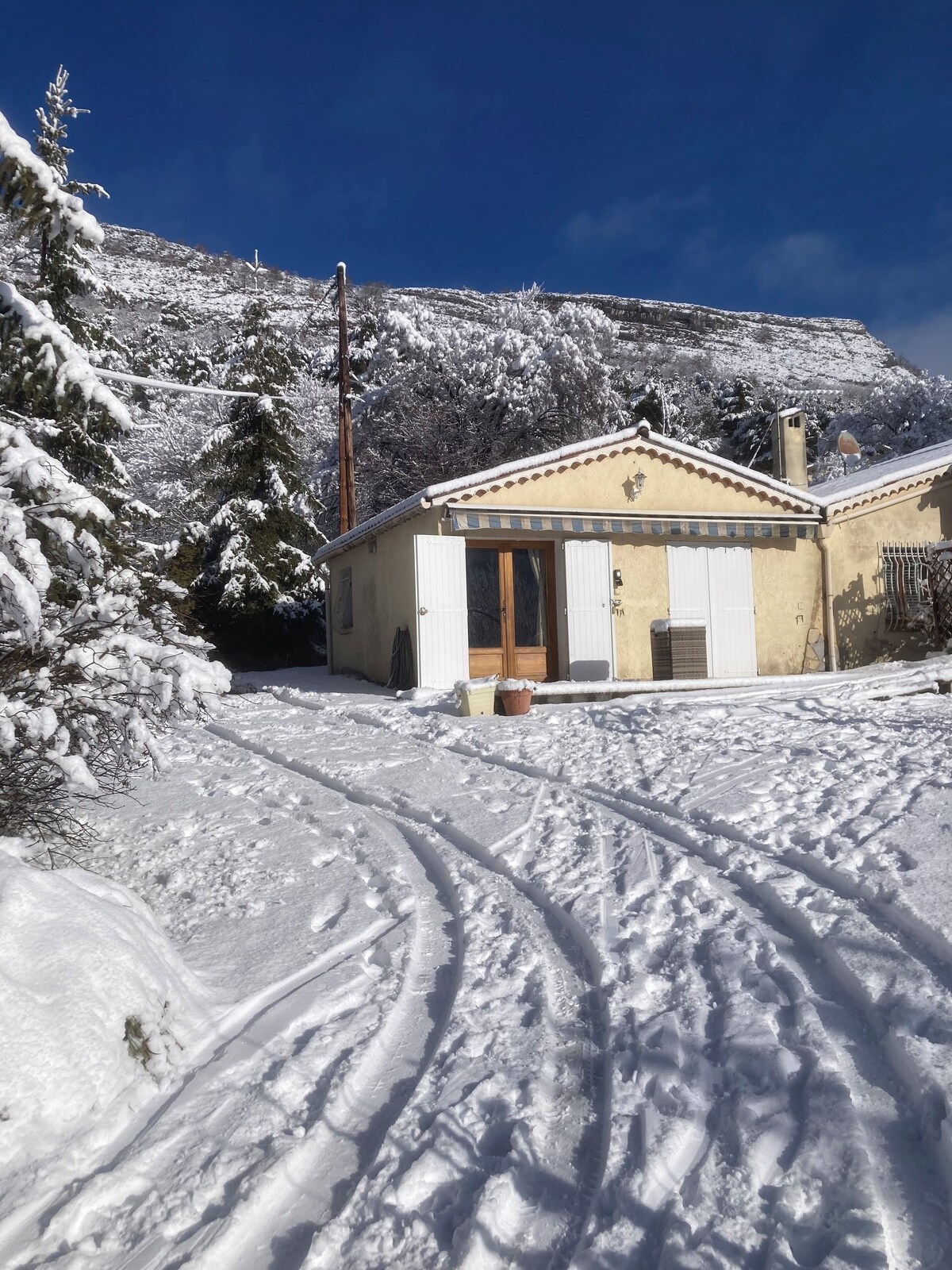 オーナーのプロフィール画像