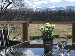 Outdoor dining - Mountain View is a very rare find with its peaceful haven at the back of the property with unspoiled (Aviemore)