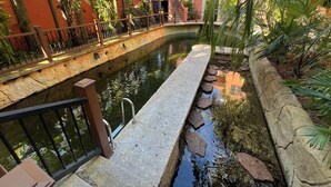 Un espace intérieur paisible avec un élément aquatique, agrémenté d’un chemin de pierre, entouré d’une végétation luxuriante et d’un mur en briques rouges.