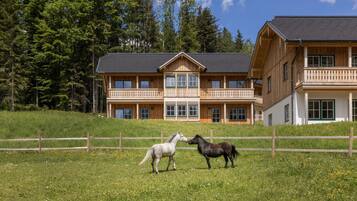 House | Exterior