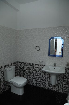 A bathroom with a toilet, sink, and mirror.