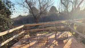Un espacio al aire libre con suelo pavimentado, mesas y bancos de metal, rodeado por una cerca de madera y árboles.