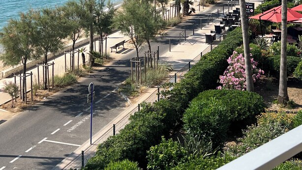 A coastal road with palm trees, a beach, and a view of the sea. - T4 seafront apartment, magnificent view (Le Lavandou)