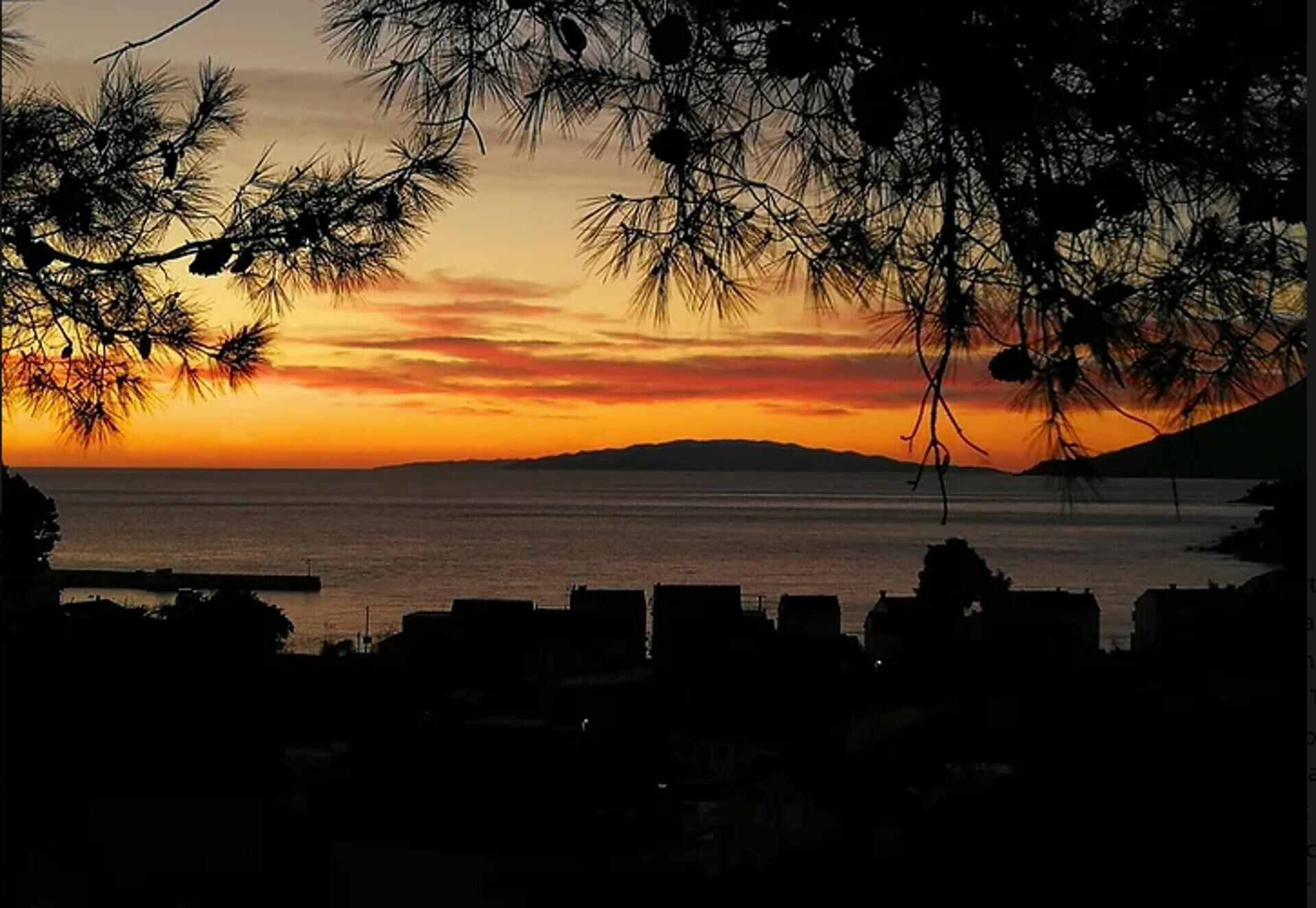 A coastal sunset view with silhouettes of buildings and trees.