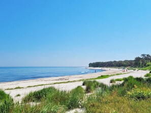 A beach with clear blue water, sandy shore, and green vegetation. - 4 Star Holiday Home in Nexo (Nexø)