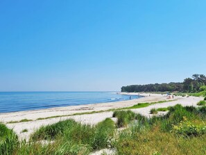 A beach with clear skies, a sandy shore, and some greenery in the foreground.
