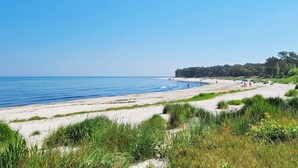 A beach with clear blue water, sandy shore, and green vegetation.