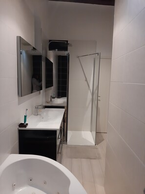 Douche, séchoir à cheveux, serviettes fournies, savon