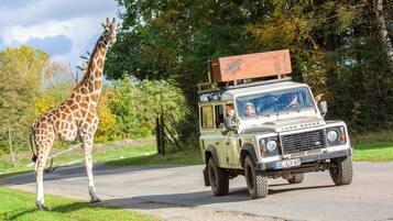 Een Land Rover met een houten doos op het dak, geparkeerd aan de weg, met een giraffe in de buurt.