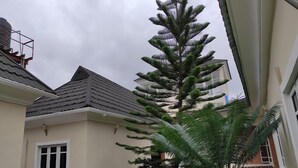 Un immeuble résidentiel doté d’un toit en pente, d’une fenêtre et d’un jardin bien entretenu, agrémenté de diverses plantes et d’un grand arbre.