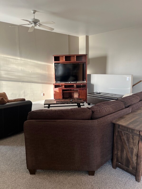 Smart TV, DVD player, books, computer monitors