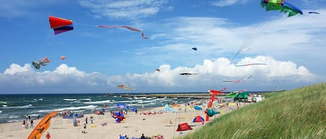 A beach with people, tents, and kites.