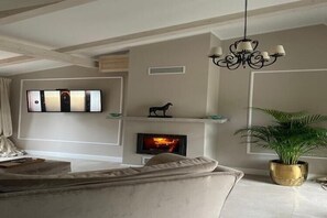 Smart-TV, Kamin