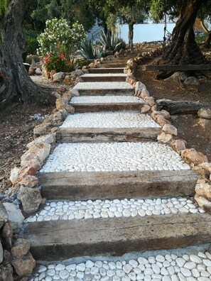 Áreas de la propiedad