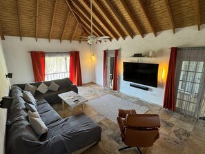 Smart TV, books