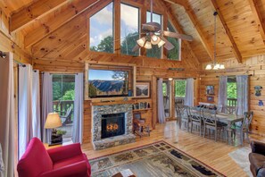 TV connectée, cheminée, livres