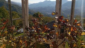 Uma estrutura de madeira rústica com vista para uma paisagem montanhosa.