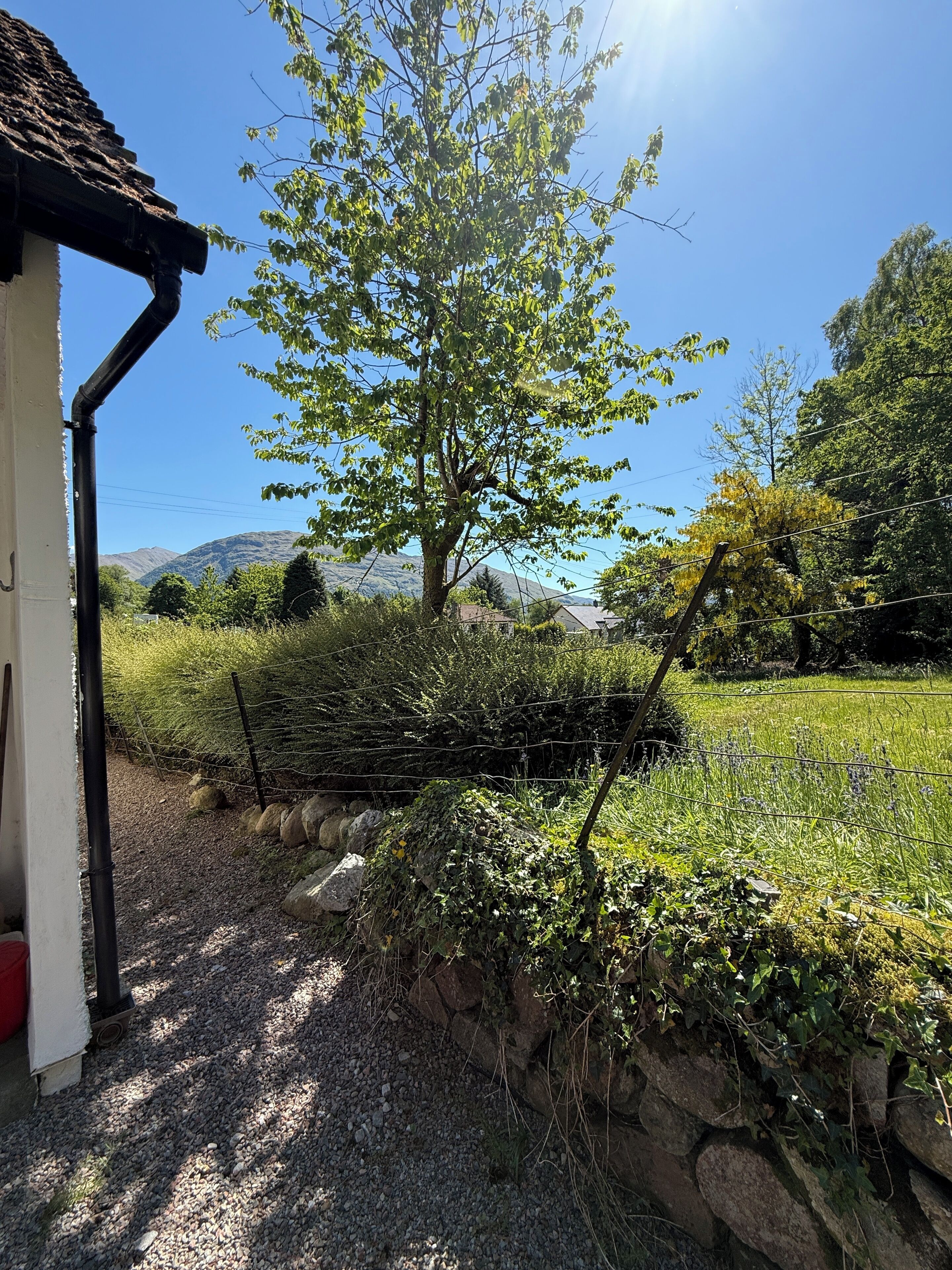 Overnattingsstedets uteområder