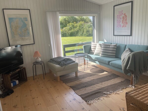 TV, fireplace, books