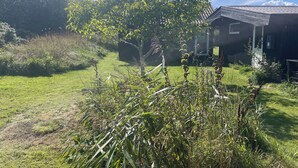 Ein Haus mit geneigtem Dach, umgeben von einem Rasen und dichtem Gebüsch.
