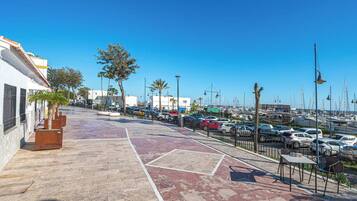 Área da propriedade