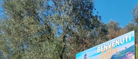 Detalle del exterior