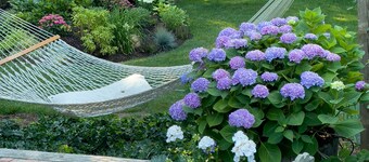  Beautiful 4 bedroom house with tranquil gardens close to bay beaches.