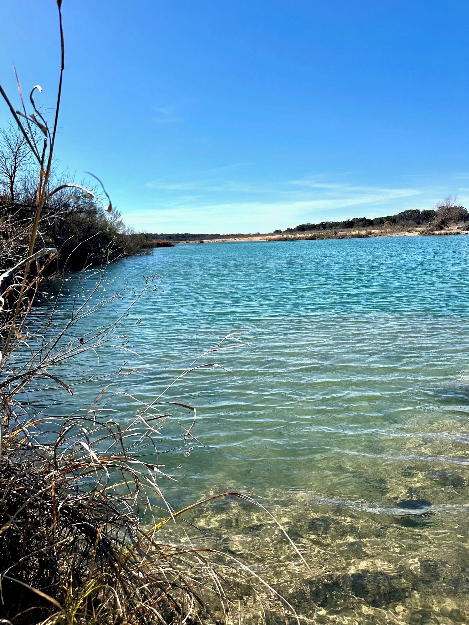 A clear view of a calm river with clear water, surrounded by natural vegetation and a distant shoreline.