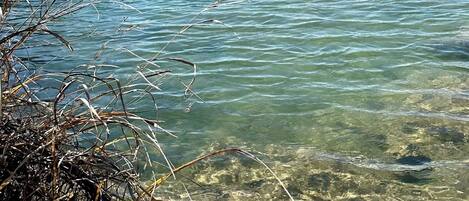 A clear view of a calm river with clear water, surrounded by natural vegetation and a distant shoreline.