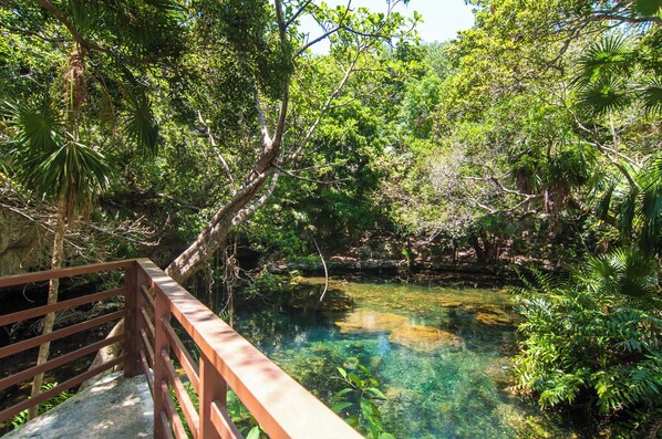 Jardines del alojamiento