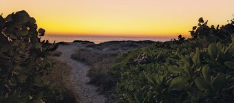 King Studio Steps from Sand + Resort Backyard