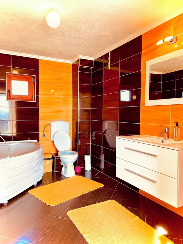 Hair dryer, soap, toilet paper