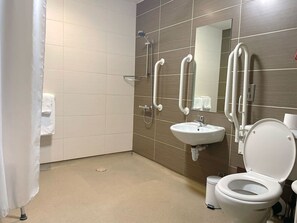 Bathroom features a toilet, sink, and shower area with a handheld showerhead.