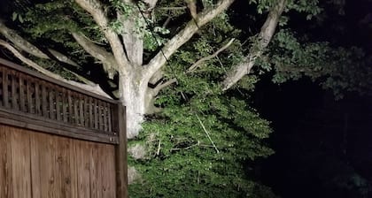 Walk to Everything! Large studio with hot tub in Black Mountain