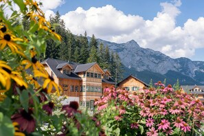 House | Interior detail - Nice Chalet by Zlaimlift (Grundlsee)