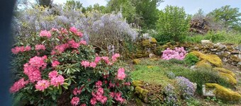 Charming country house near the forest with swimming pool and private garden