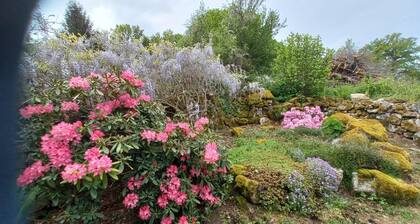 Charming country house near the forest with swimming pool and private garden