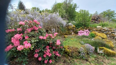 Charming country house near the forest with swimming pool and private garden